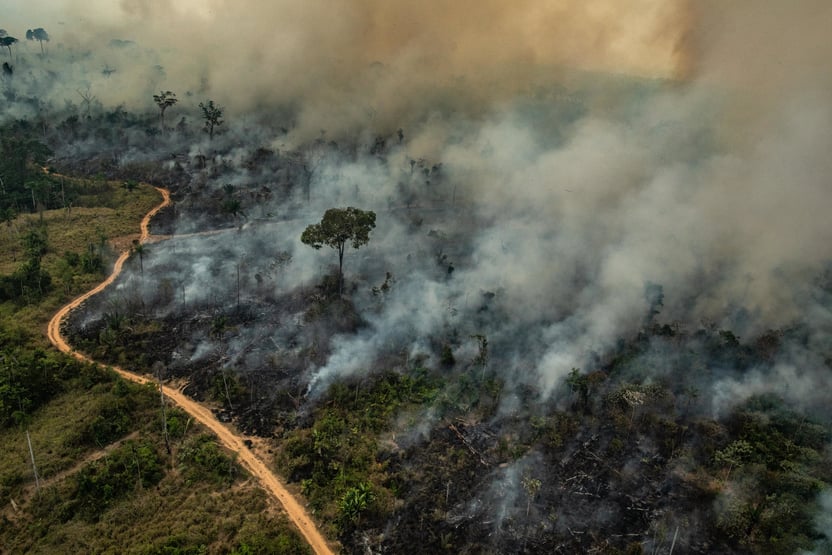 Amazônia e Cerrado registram recordes de focos de queimadas para junho