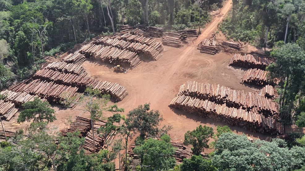 CNJ autoriza abertura de processo de juiz que liberou carga de madeira no Pará