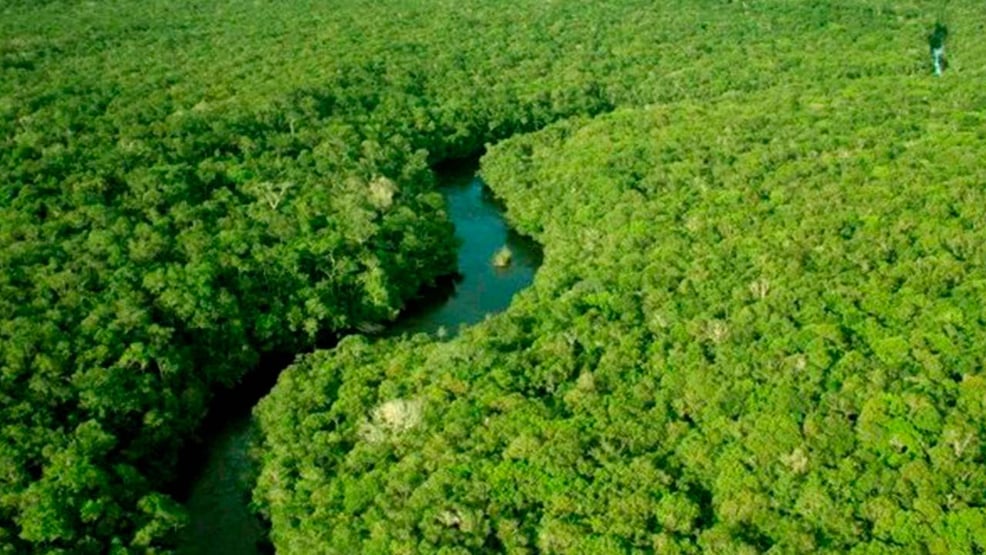 STF julga se governo foi omisso ao não dar verba para o Fundo do Clima