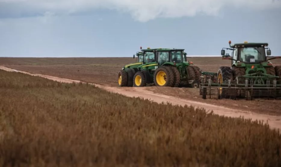 BNDES empresta R$ 29 milhões para fazendeiros que desmatam Amazônia