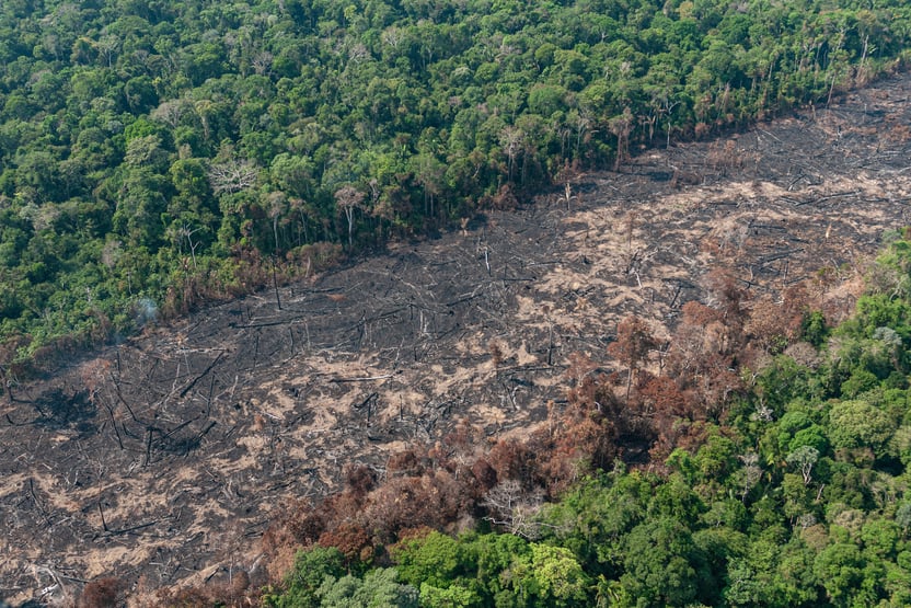 Amazônia concentra 8 dos 10 municípios com maior emissão de gases de efeito estufa no país