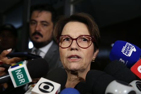 Tereza Cristina planeja encontro com embaixadores árabes