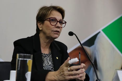 Importação de carne brasileira é liberada pelos EUA