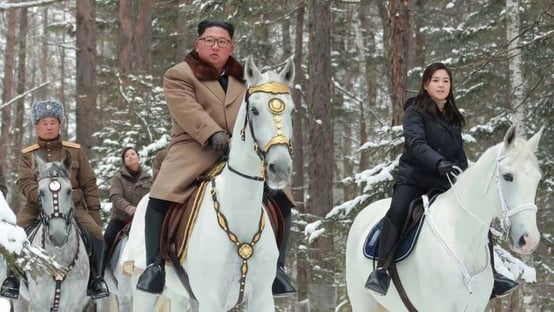 Sucessão de Kim Jong-un é incógnita