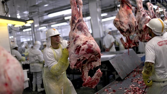 China suspende compra de carne bovina de unidades da JBS, Marfrig e Naturafrig