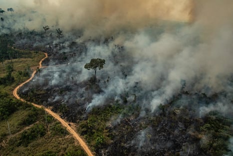 Amazônia e Cerrado registram recordes de focos de queimadas para junho