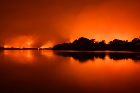 Incêndios no Pantanal alcançam patamar recorde do ano passado