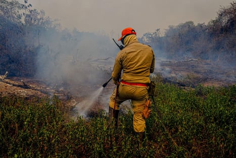 Governo do Mato Grosso confirma uso de retardante de fogo