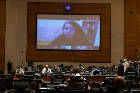 6 x 0 – Desembargadora Teresa Castro Neves vota pelo impeachment de Witzel