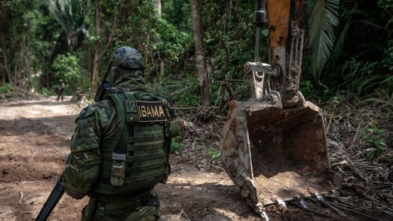 Ministro do Meio Ambiente nomeia presidente substituto do Ibama