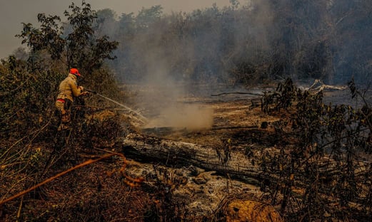 Bolsonaro volta a proibir uso de fogo por 120 dias na Amazônia e no Pantanal