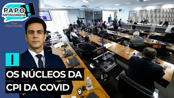 Os núcleos da CPI da Covid