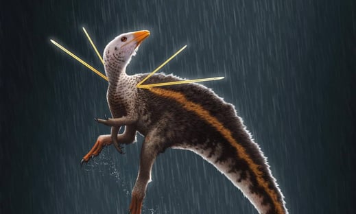 Museu alemão se recusa a devolver fóssil de dinossauro do Brasil