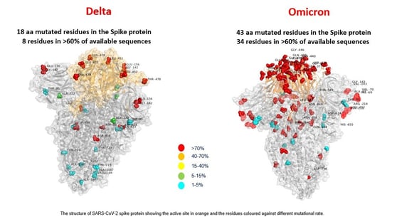 Ômicron tem mais que dobro de mutações que Delta, mostra 1ª imagem