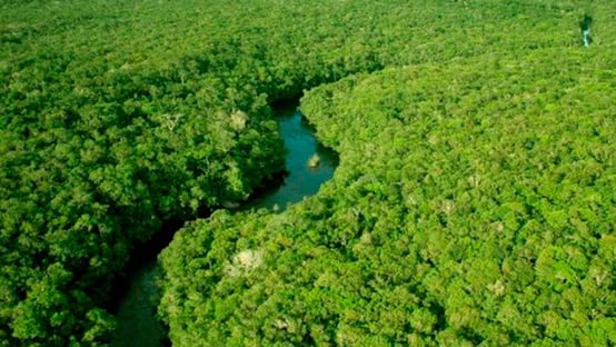 STF julga se governo foi omisso ao não dar verba para o Fundo do Clima