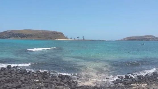 Canetada do Ibama põe em risco paraíso de Abrolhos
