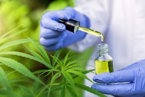 STF discute na quarta fornecimento público de remédio à base de maconha