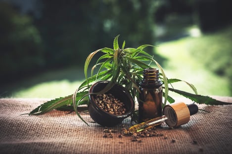 O que diz a regulamentação da Anvisa para produtos de maconha