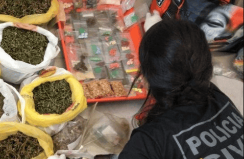 Polícia do DF monitora droga que faz pessoas agirem como macaco