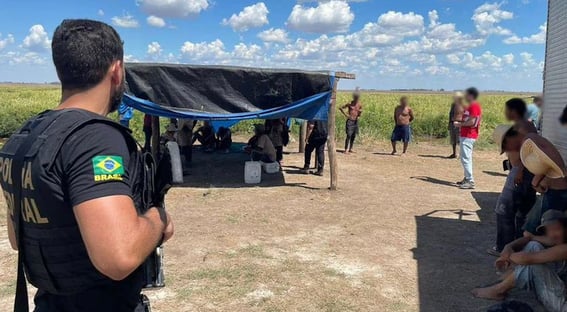 PF resgata 56 trabalhadores em condição análoga à escravidão no RS