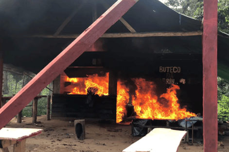 PF destrói avião de garimpeiros e retoma controle de Terra Yanomami
