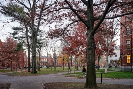 Doadores cortam verba para Harvard após manifestação anti-Israel de estudantes