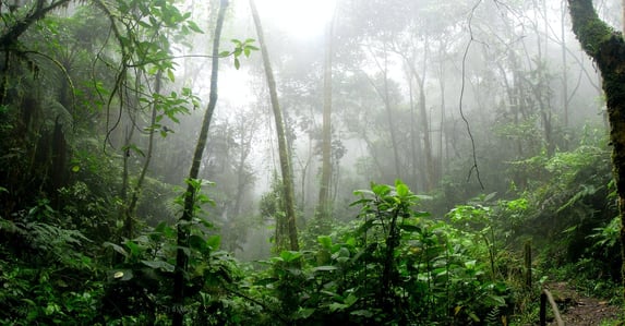 Cidades perdidas de 2.500 anos são encontradas na região da Amazônia