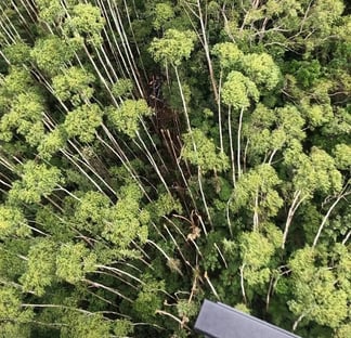 Helicóptero desaparecido é encontrado em Paraibuna, SP