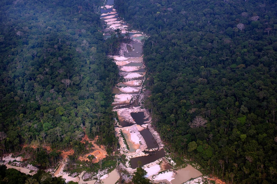 Amazônia Legal precisa intensificar produtividade, alerta Banco Mundial