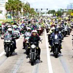 Unabomber da democracia