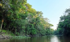 CCJ deve analisar PEC que torna segurança climática um direito fundamental