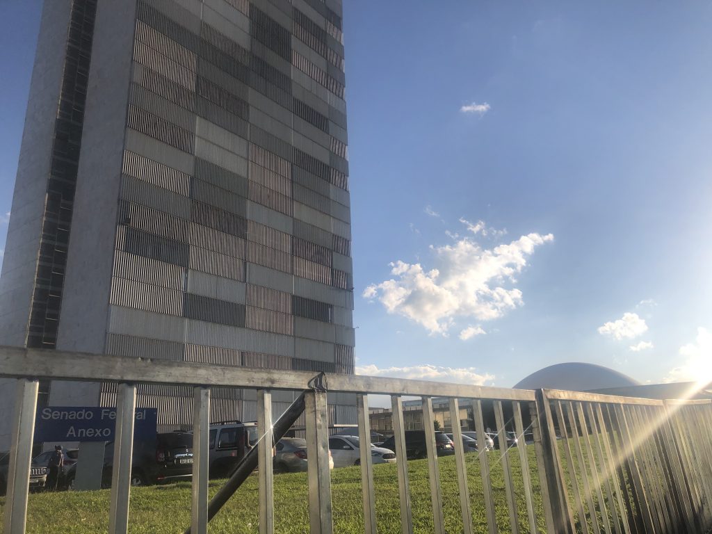 Bolsonarismo em marcha