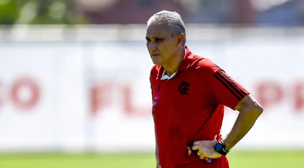 A apenas dois jogos de bater o recorde, Flamengo está com a "cara de Tite" (Divulgação)