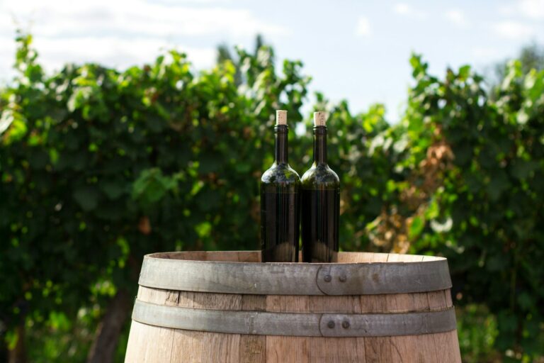 Estudo revela que "uma taça de vinho por dia" não é beneficial como se pensa