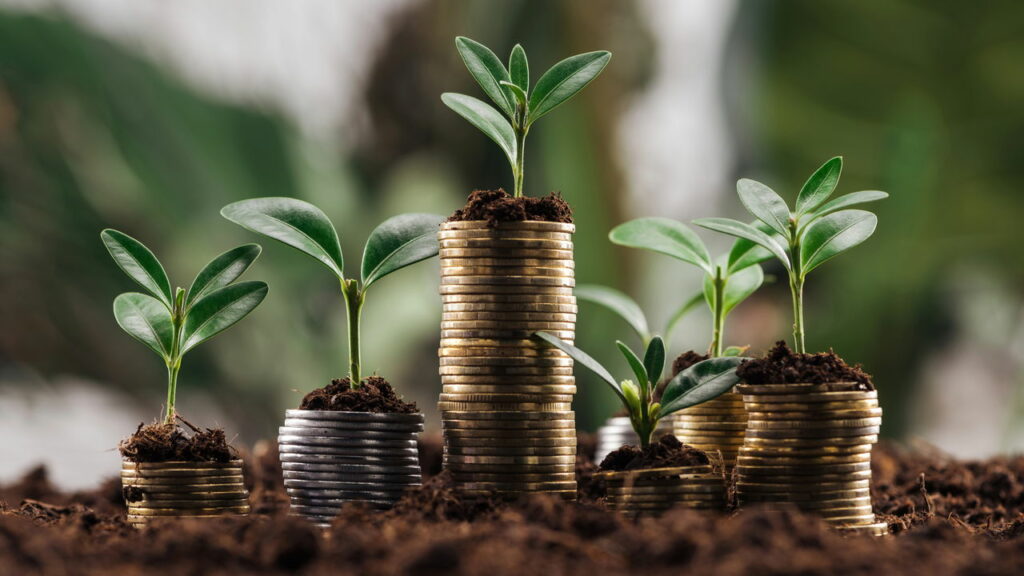 Como investir R$ 100 por mês e ter um belo retorno do investimento