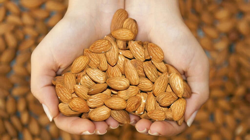 Amêndoas (Créditos: depositphotos.com / olgamanukyan)