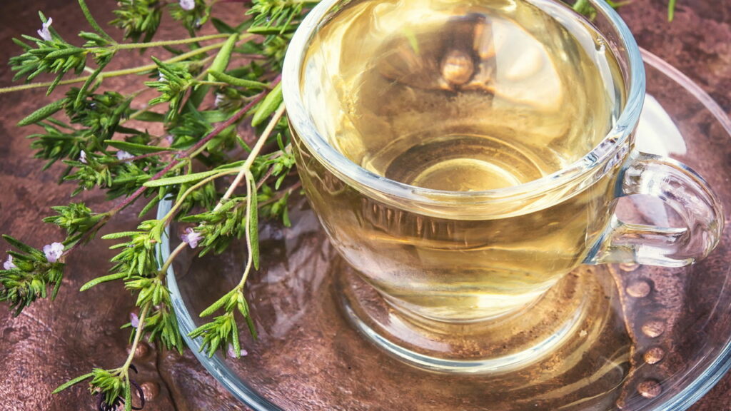 Fortaleça o sistema imunológico com chá de orégano