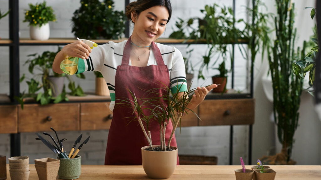 Plantas ideais para cultivo em vasos grandes em ambientes internos