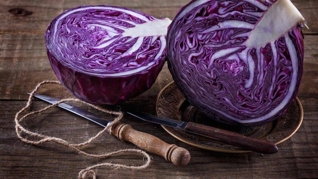 10 razões para incluir o repolho roxo na sua dieta agora mesmo