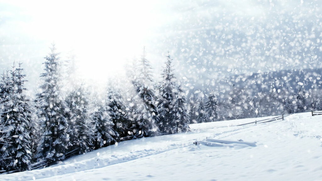 Tempestade de neve rara atinge os EUA