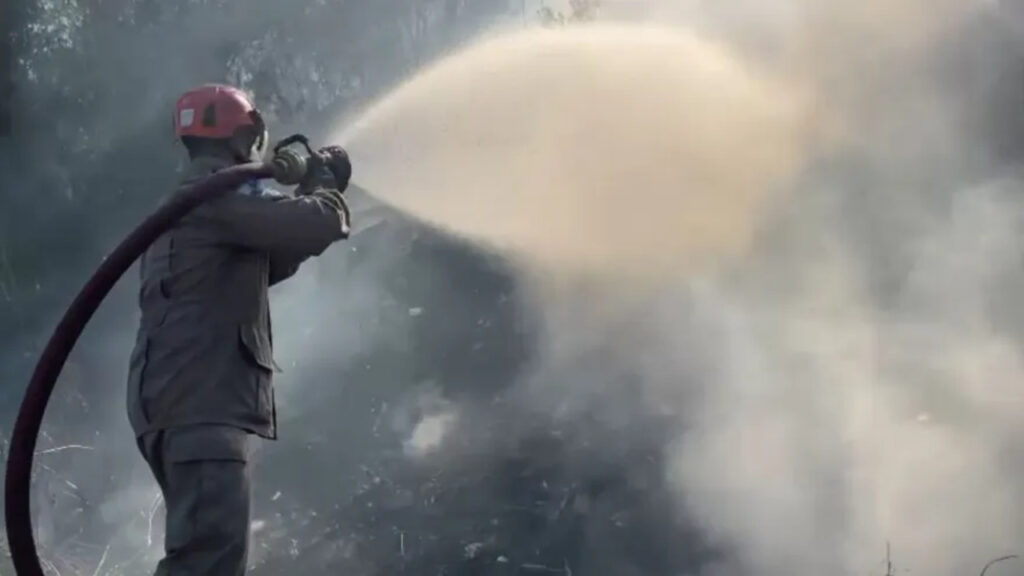 Rio de Janeiro teve mais de 300 incêndios florestais em 24h