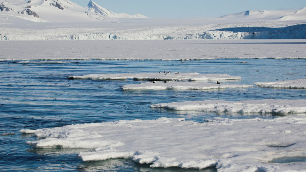 Ártico segue derretendo em meio ao caos climático