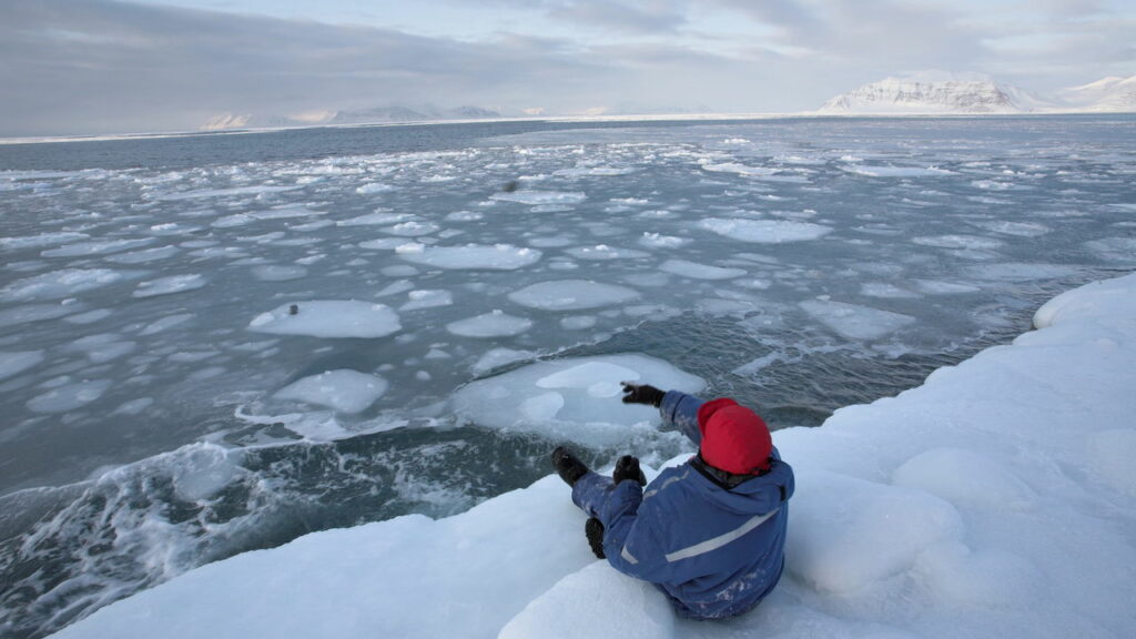 Ártico segue derretendo em meio ao caos climático