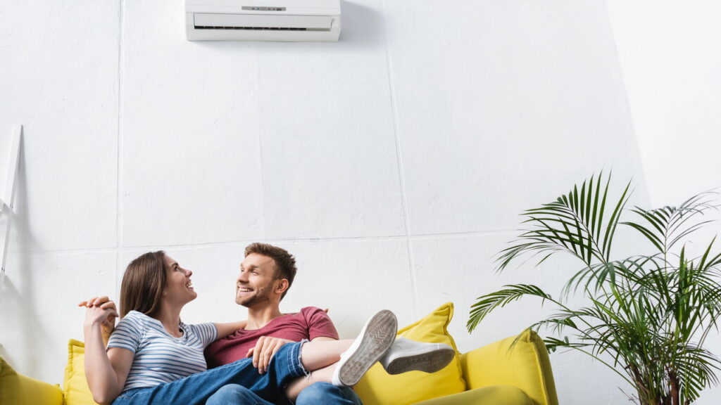 Dicas de plantas que purificam o ar da sua casa