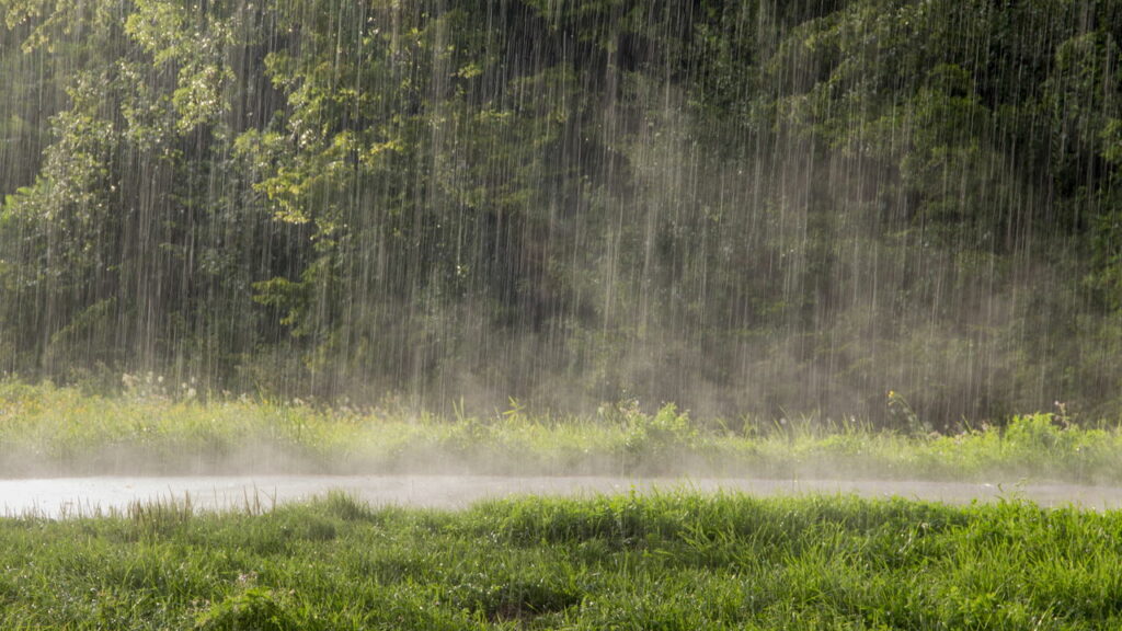 A “cidade da chuva”! Saiba qual é cidade mais chove no Mundo