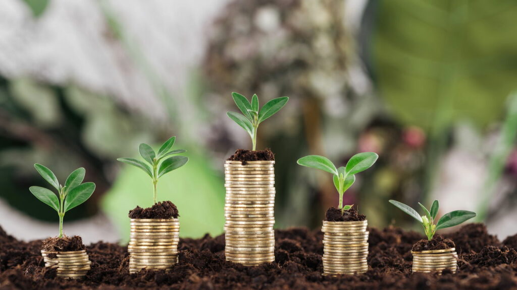Mudança nas taxas de juros pode redefinir estratégias de investimento em 2025