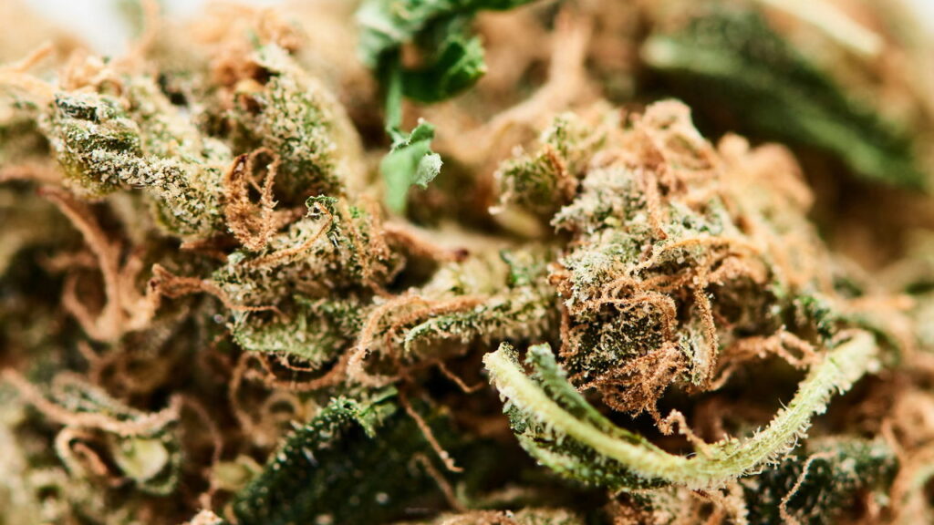 Caminhão com 3 toneladas de maconha é apreendido no MS