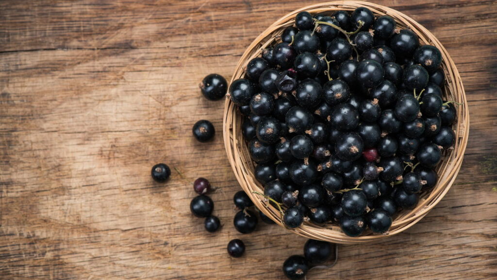 O que é o "Ouro Negro" e por que é considerado um superalimento?