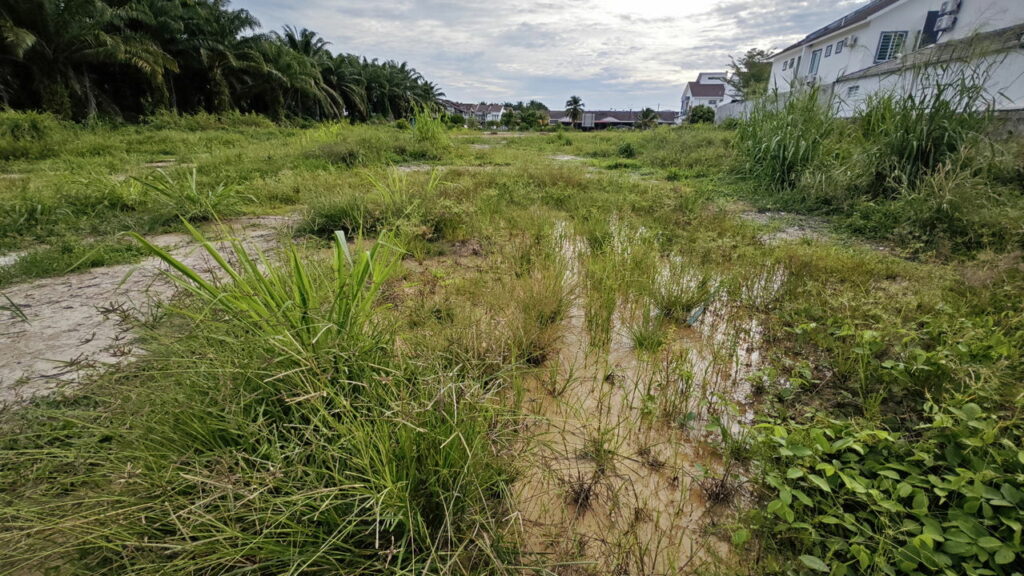 Bebê abandonado é resgatado em terreno baldio em Santa Catarina