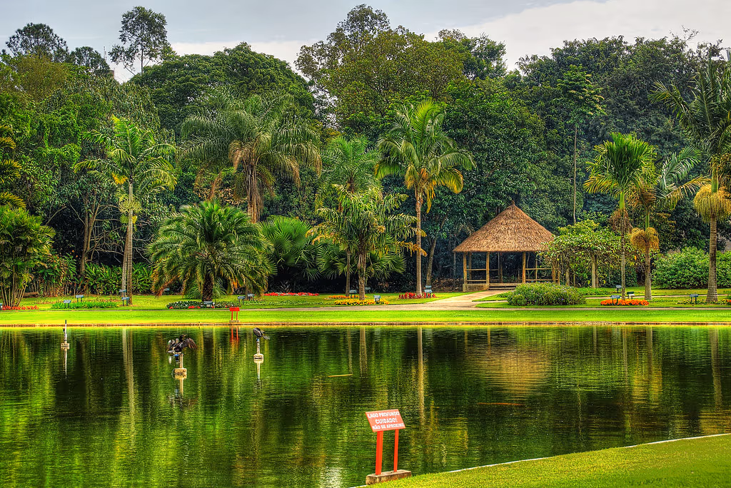 Cidade modelo de sustentabilidade no Brasil! Ela tem em média 15 árvores por habitante